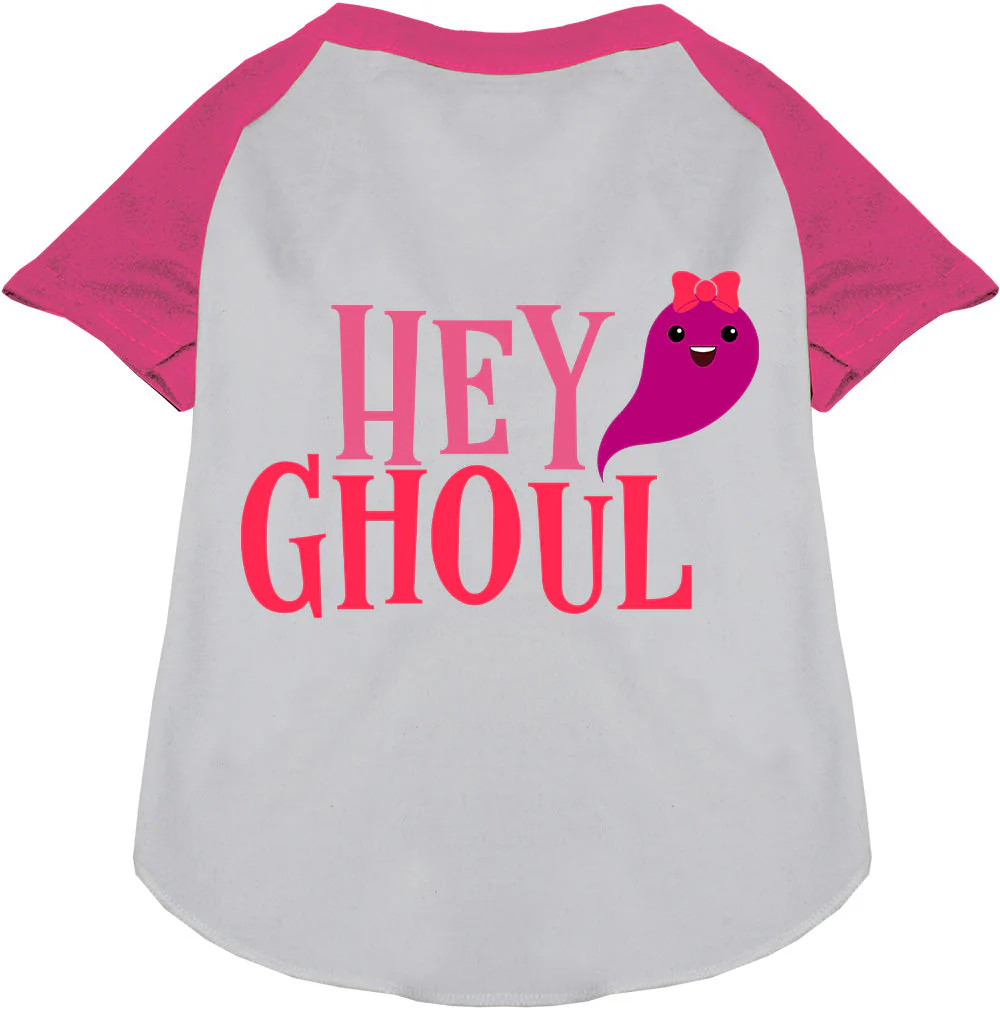 Hey Ghoul Pet Raglan Shirt - Image 5