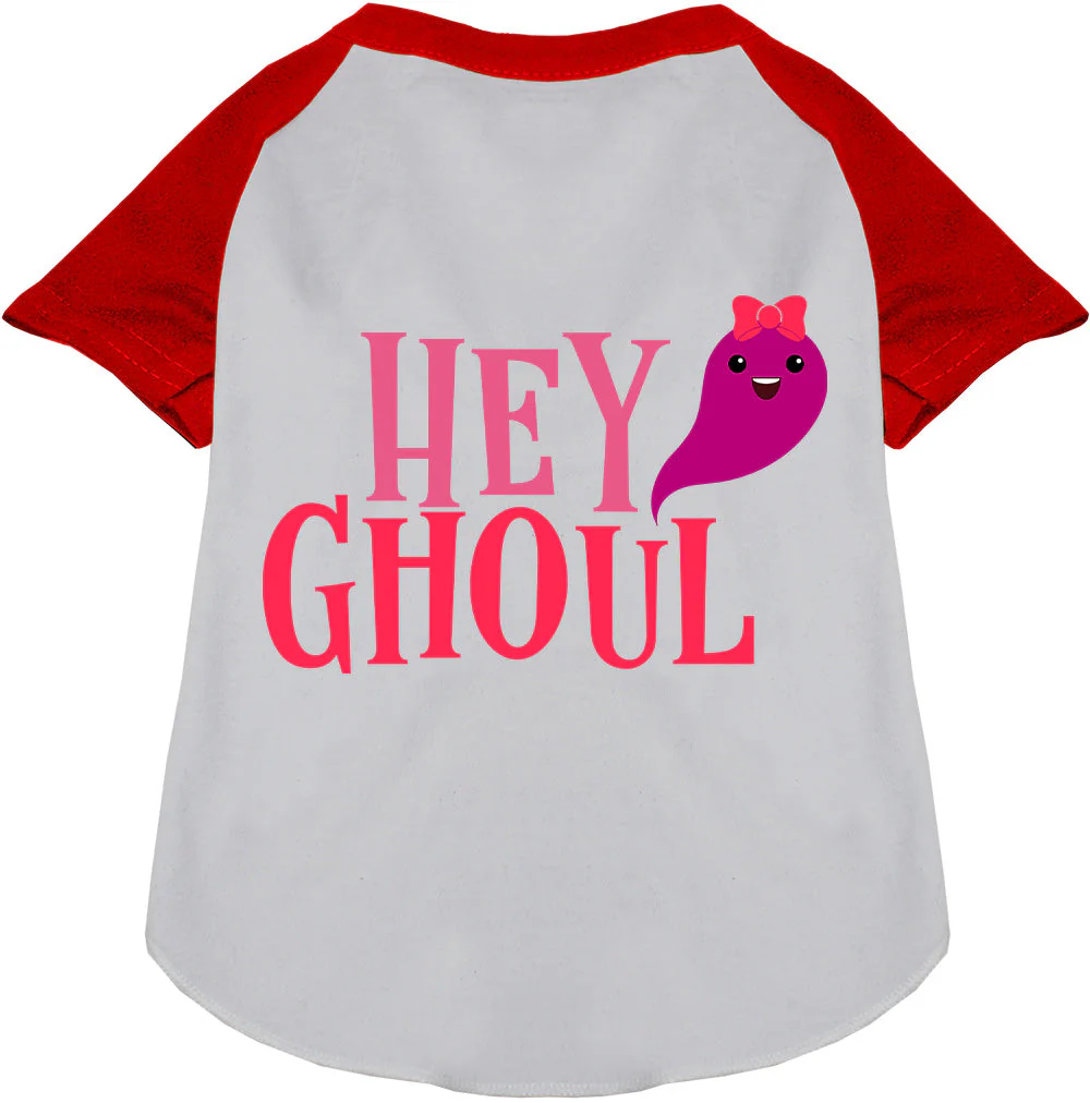 Hey Ghoul Pet Raglan Shirt - Image 7