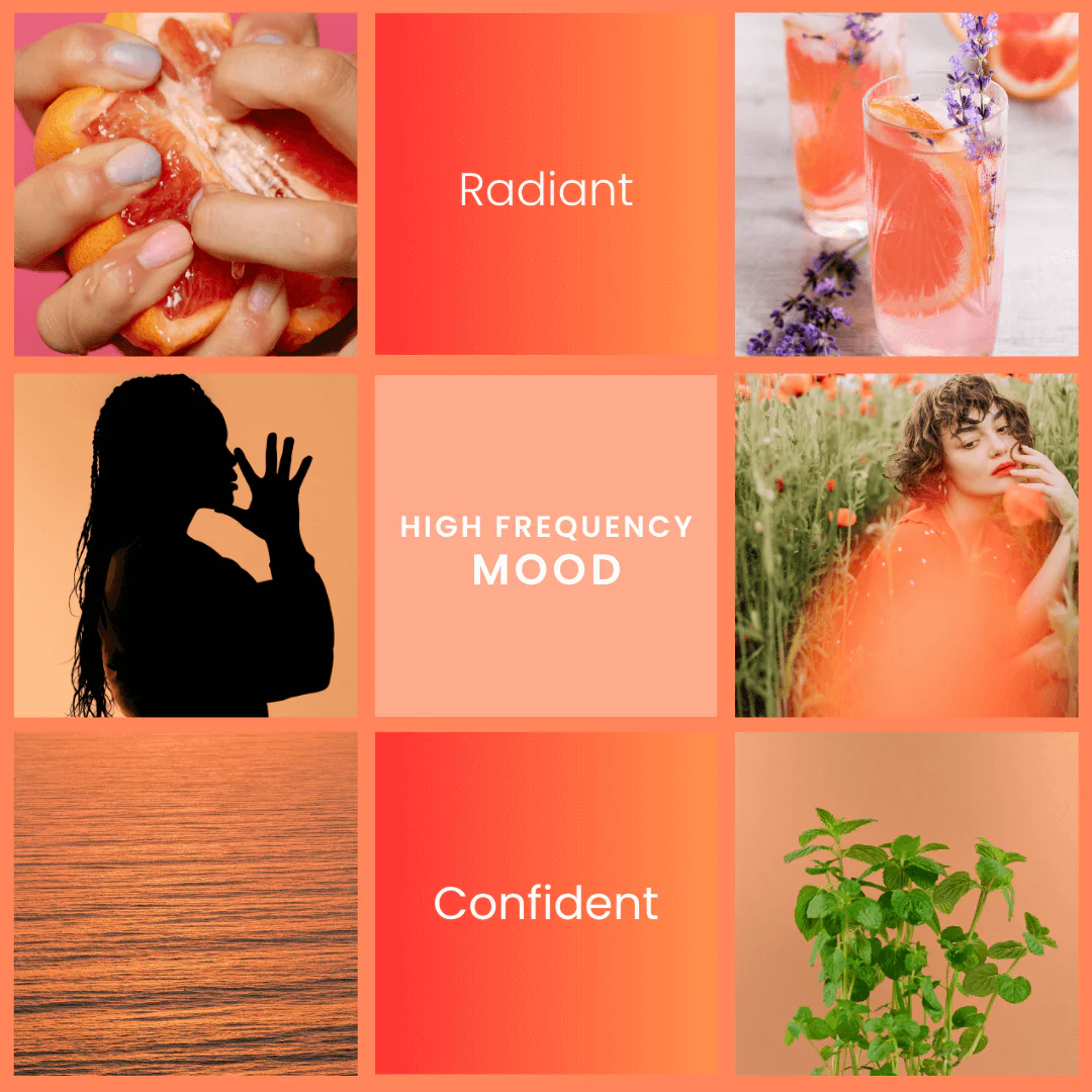 High Frequency – Grapefruit & Mint Soy Wax Melts - Image 2