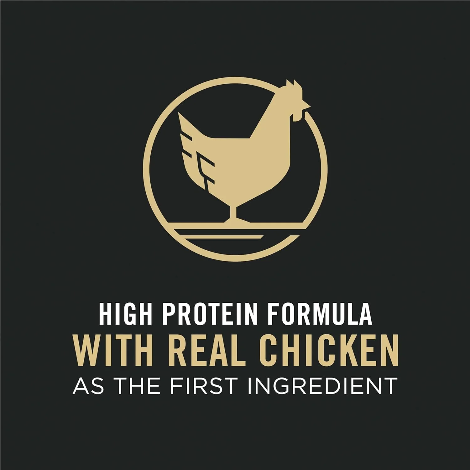 High Protein Cat Food - Image 7