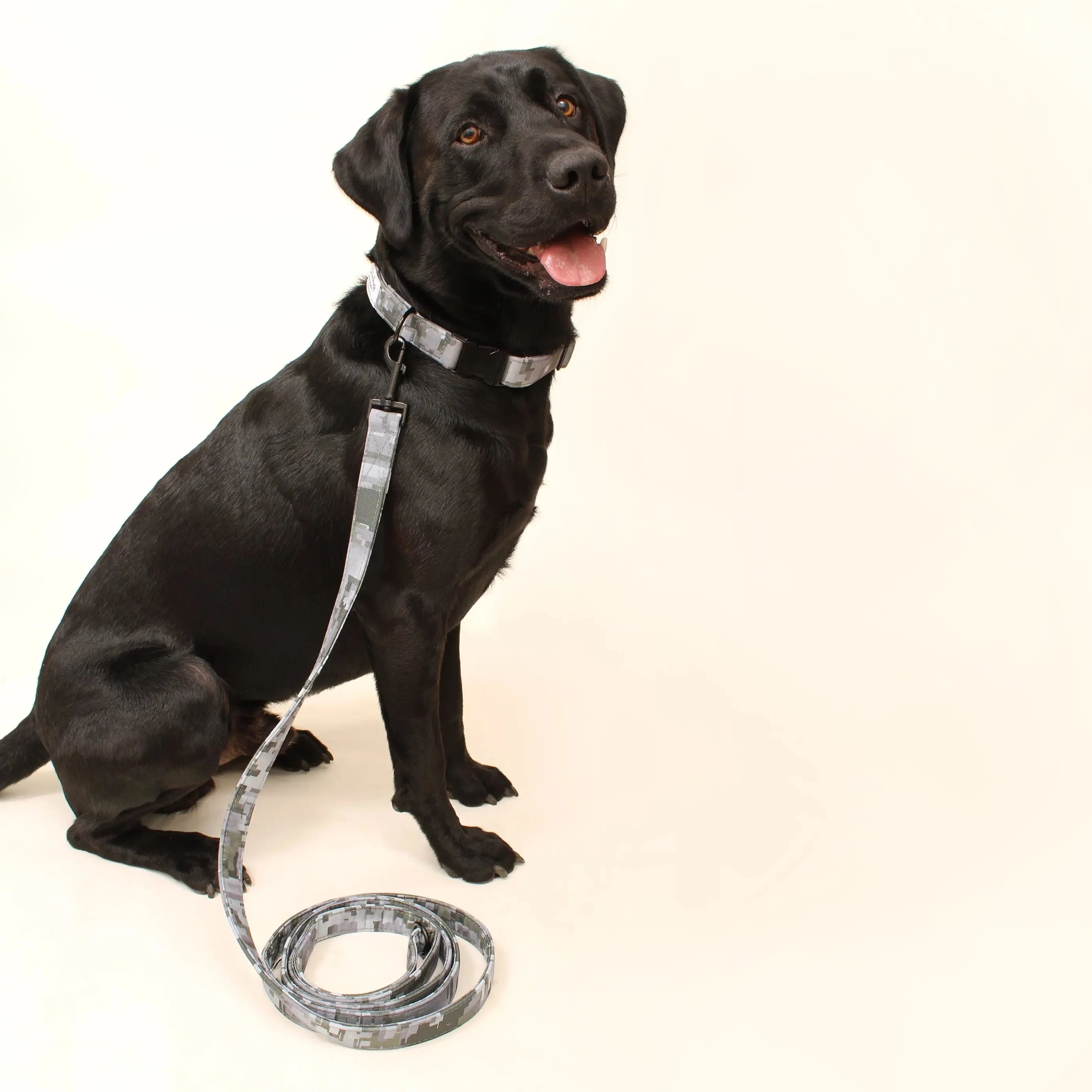 Hike Day Recycled Dog Leash - Image 2