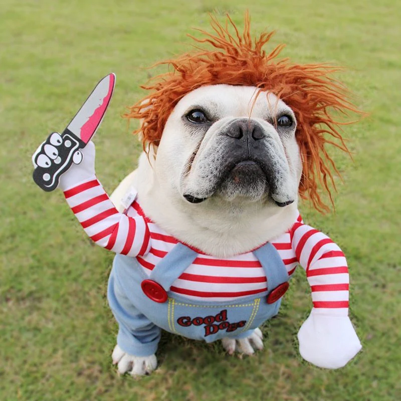 Hilarious Spooky Pet Costume - Image 2