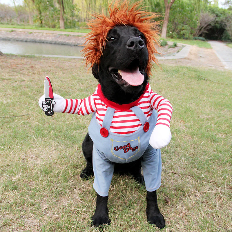 Hilarious Spooky Pet Costume - Image 5