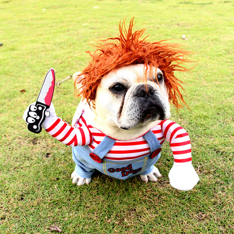 Hilarious Spooky Pet Costume - Image 6