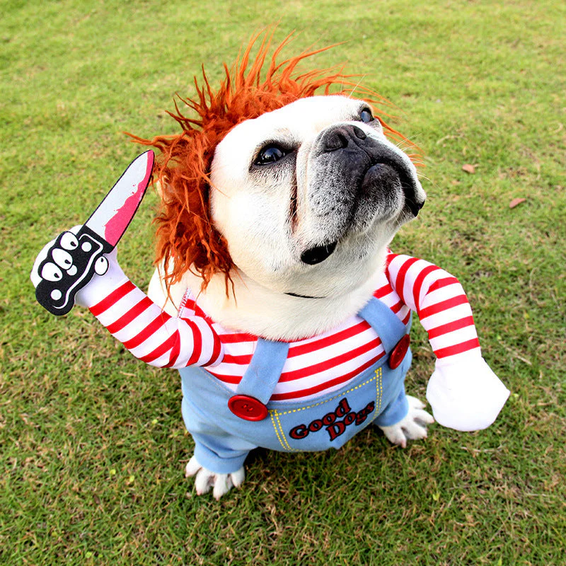 Hilarious Spooky Pet Costume - Image 7