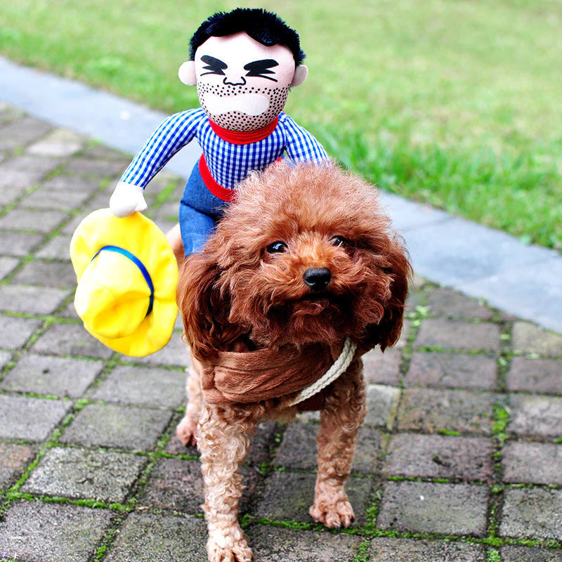 Hilarious Spooky Pet Costume - Image 8