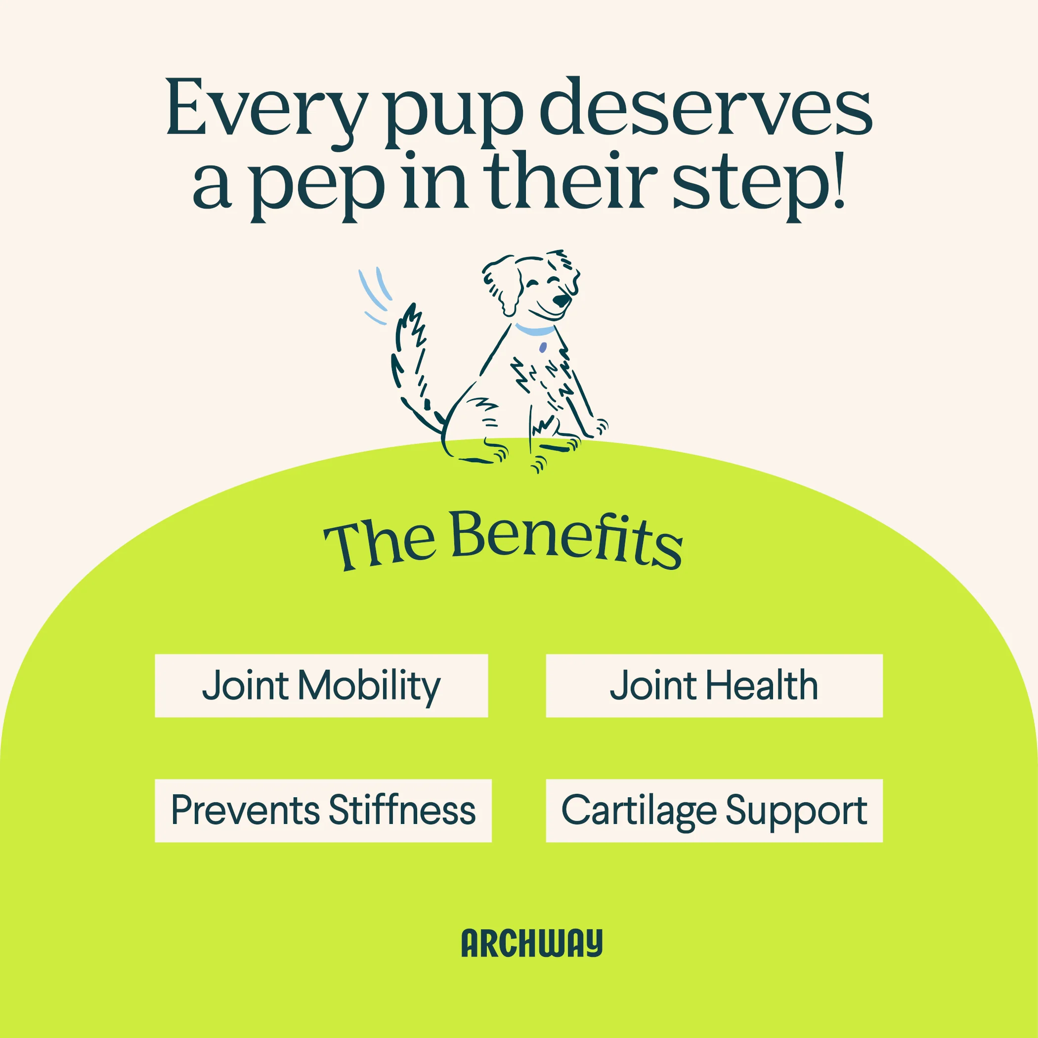 Hip & Joint Health - Image 4