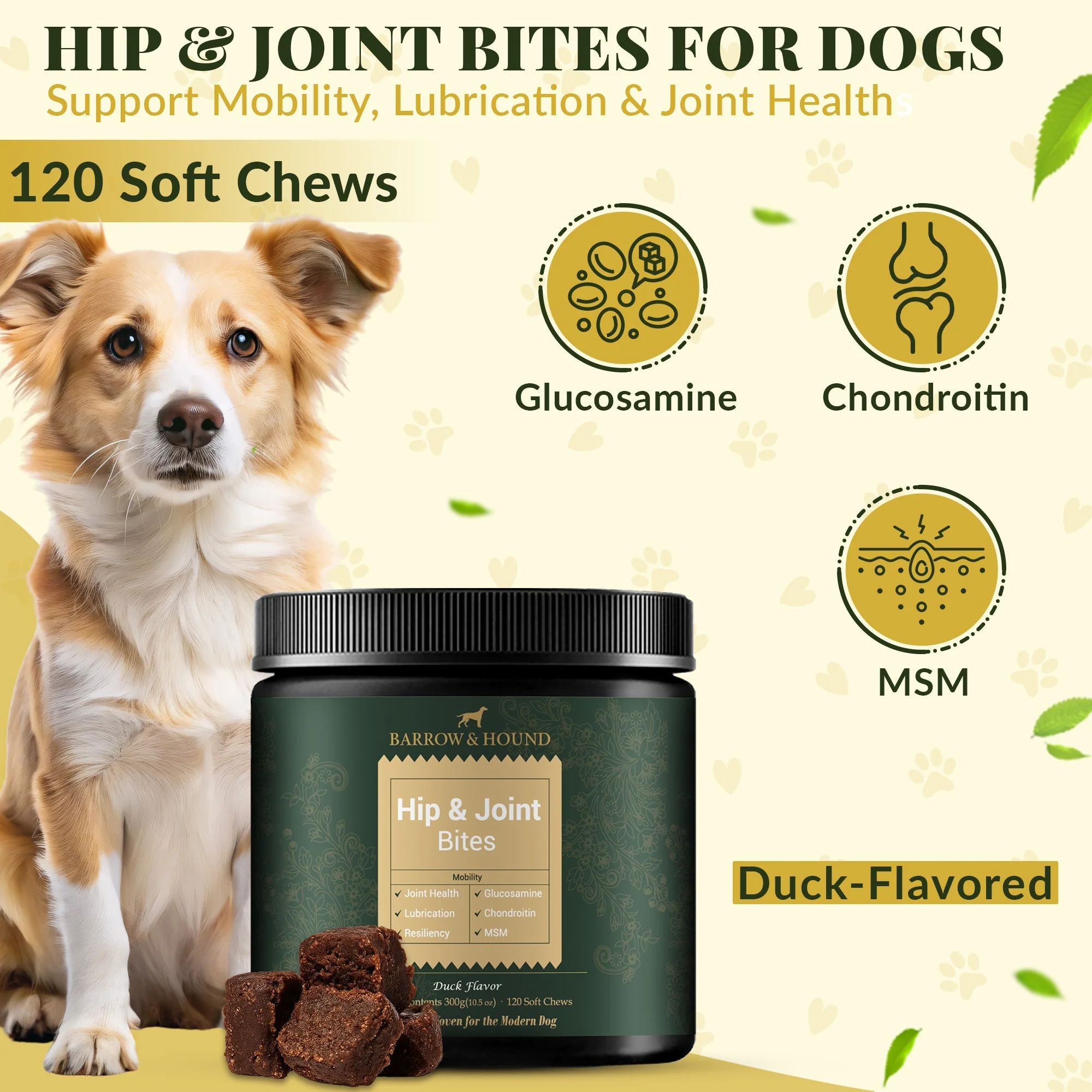 Hip & Joint Supplement for Dogs – Mobility Support for All Breeds - Image 2
