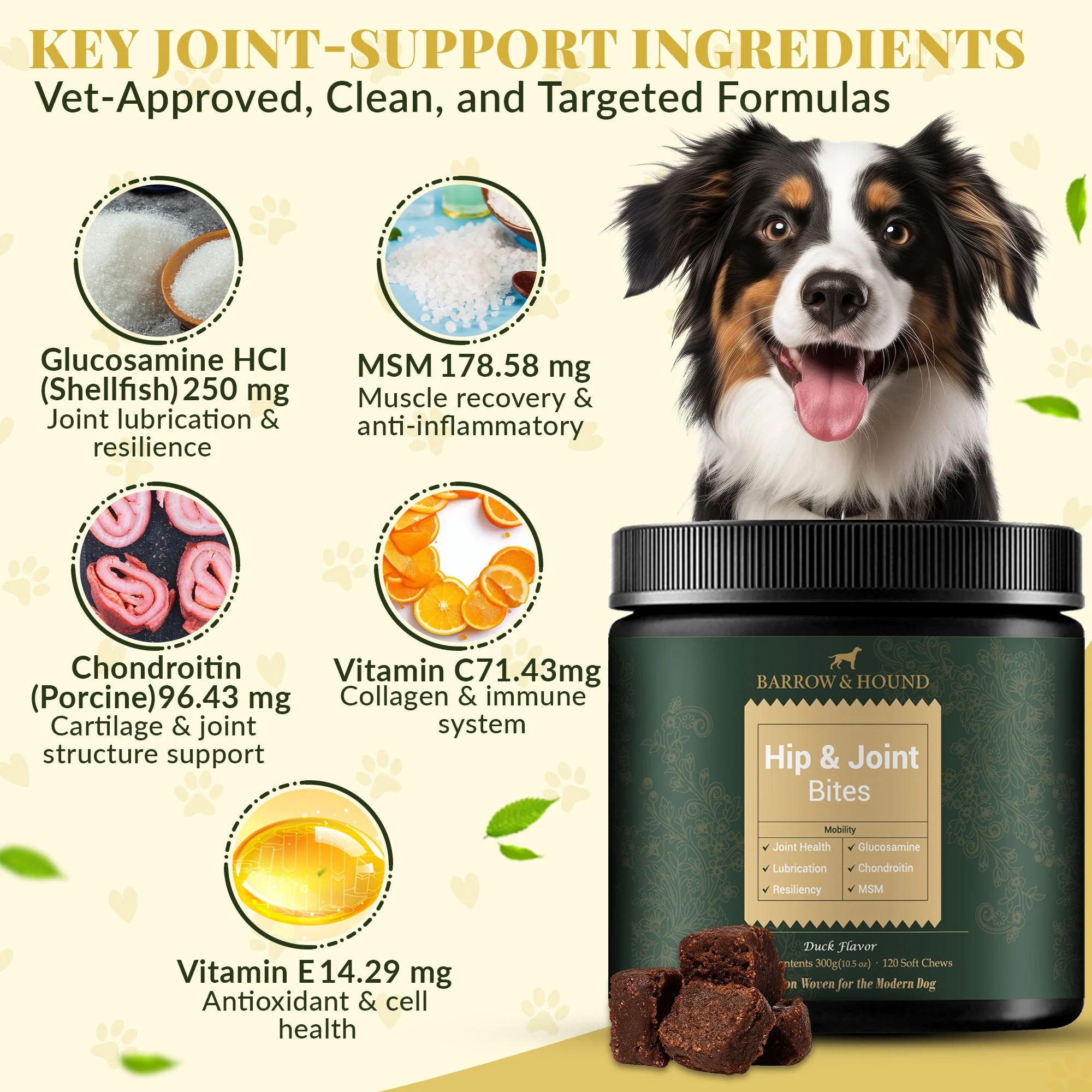 Hip & Joint Supplement for Dogs – Mobility Support for All Breeds - Image 3
