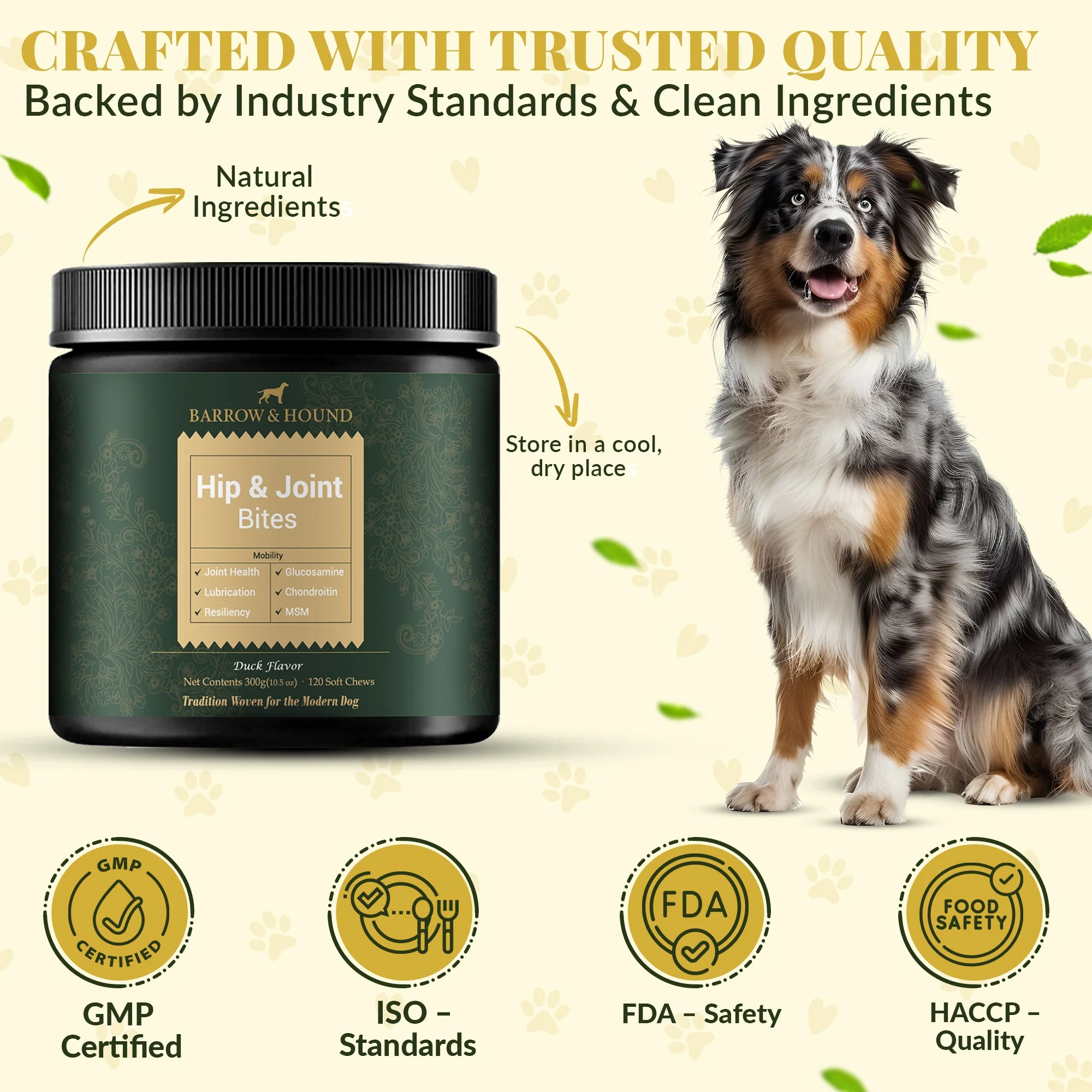 Hip & Joint Supplement for Dogs – Mobility Support for All Breeds - Image 4