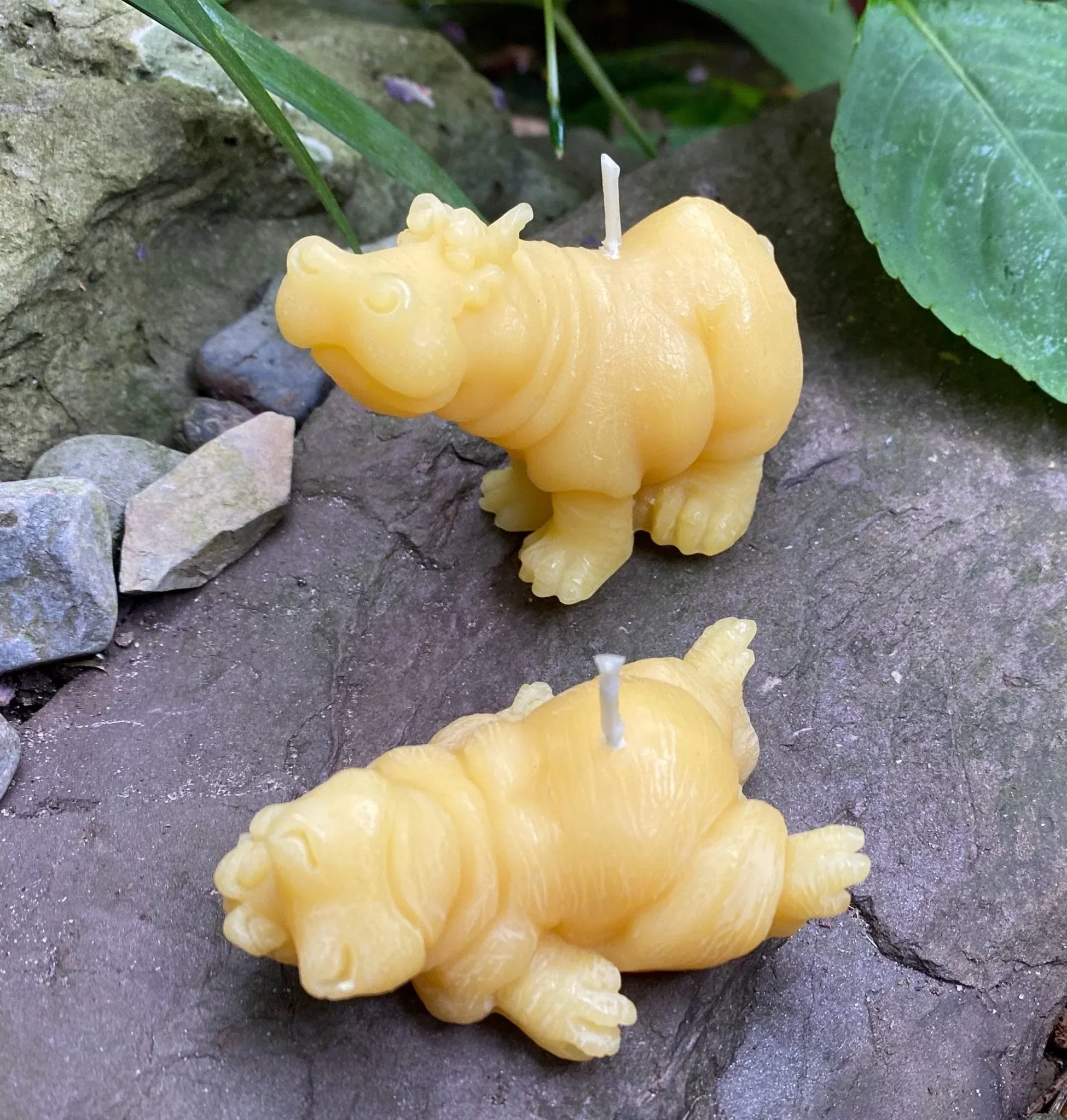 Hippo Buddies Beeswax Candles - Image 2