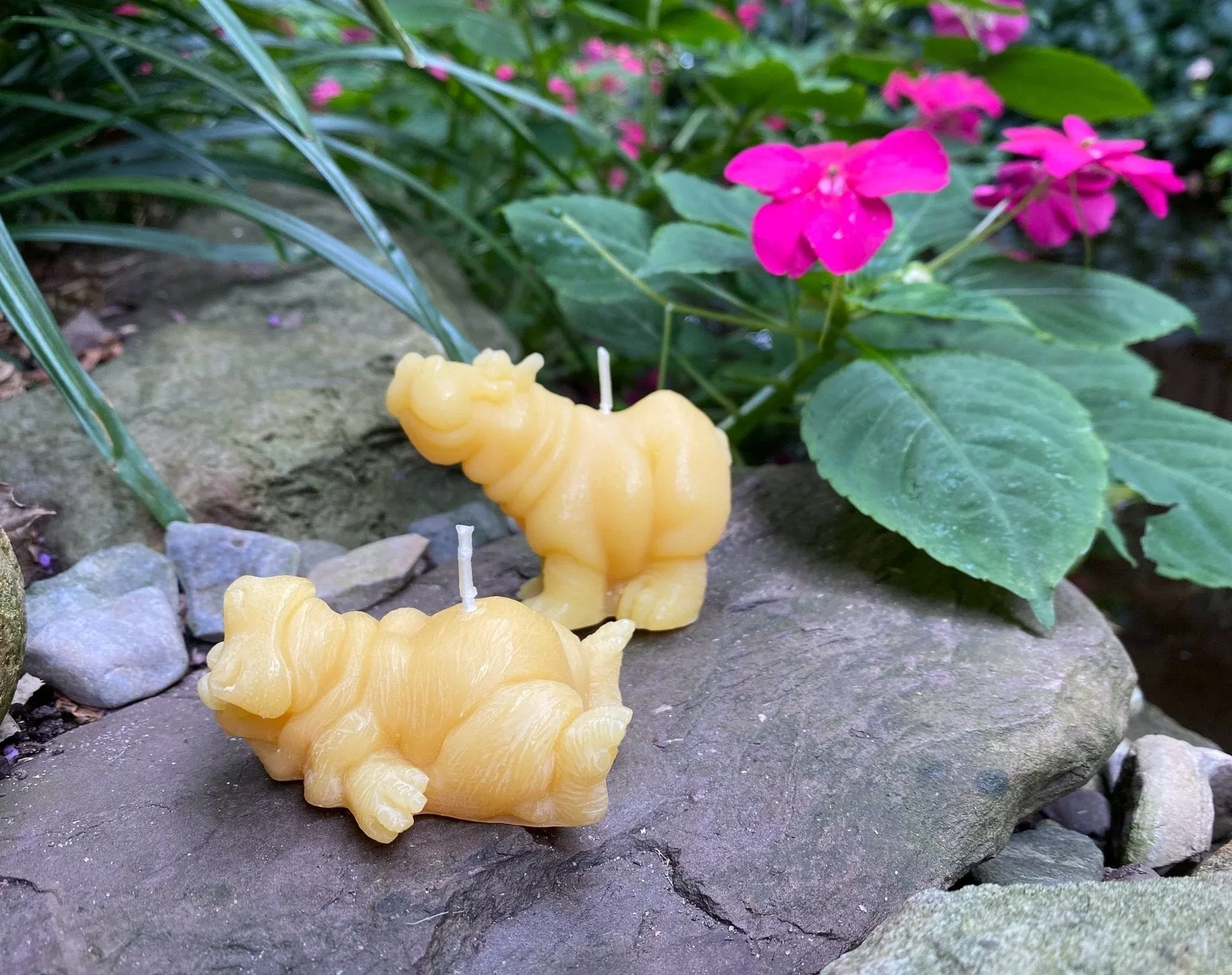 Hippo Buddies Beeswax Candles - Image 3