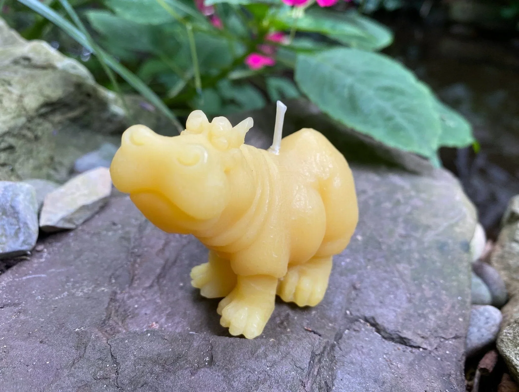 Hippo Buddies Beeswax Candles - Image 4