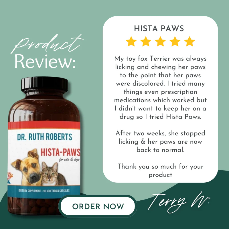 Hista Paws – with Quercetin for Dogs and Cats - Image 10