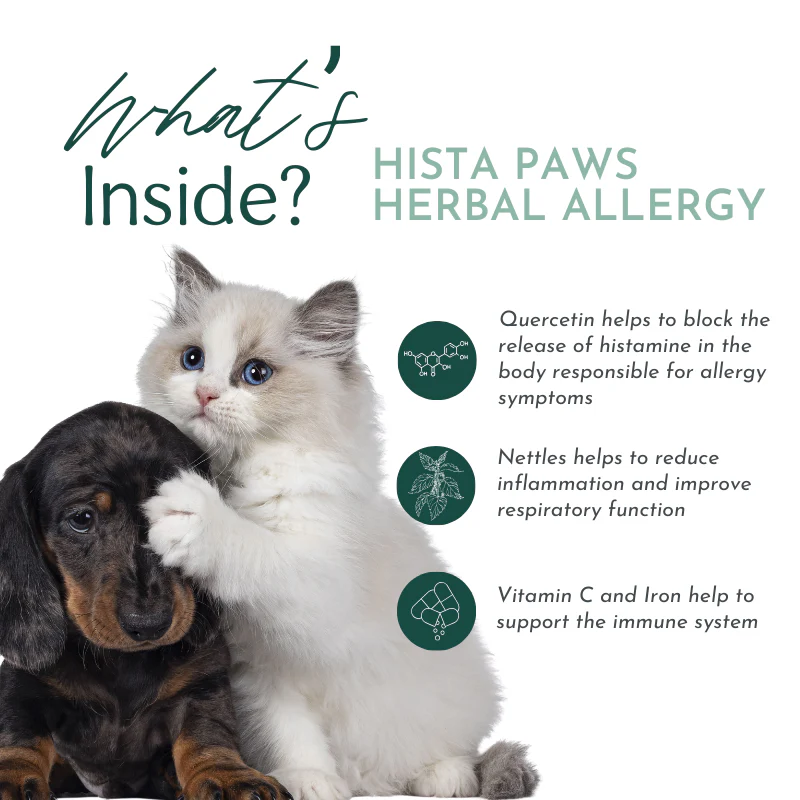 Hista Paws – with Quercetin for Dogs and Cats - Image 6