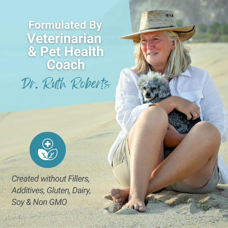 Hista Paws – with Quercetin for Dogs and Cats - Image 9