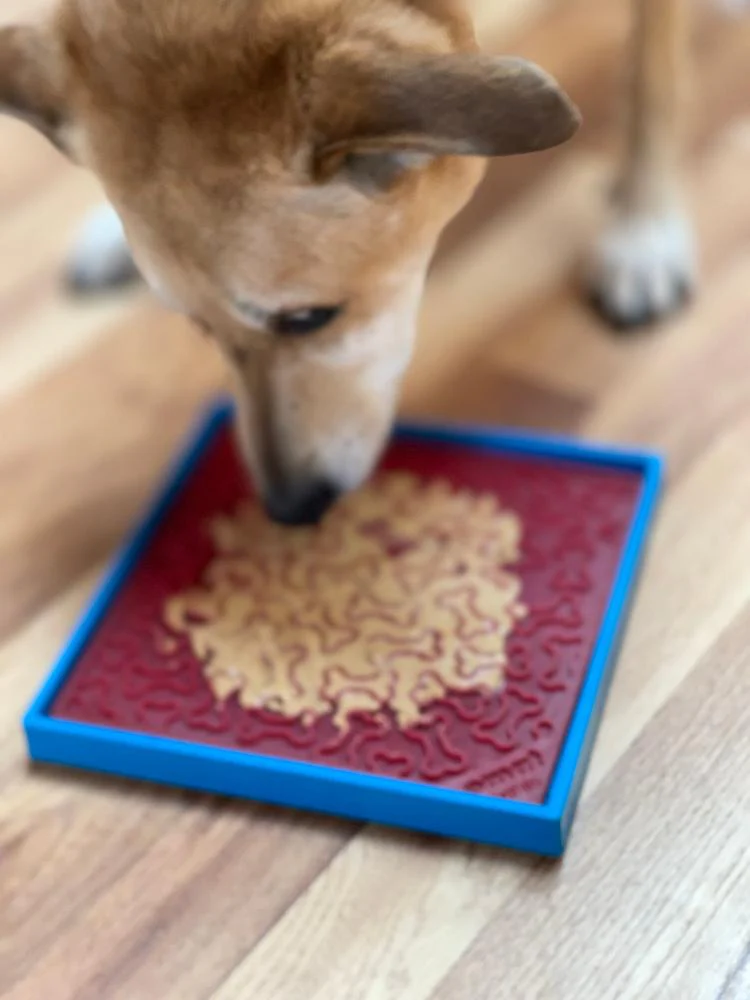 Hold 'em Suction Cup Holder for Dog Bowls & Lick Mats | USA Made - Image 8