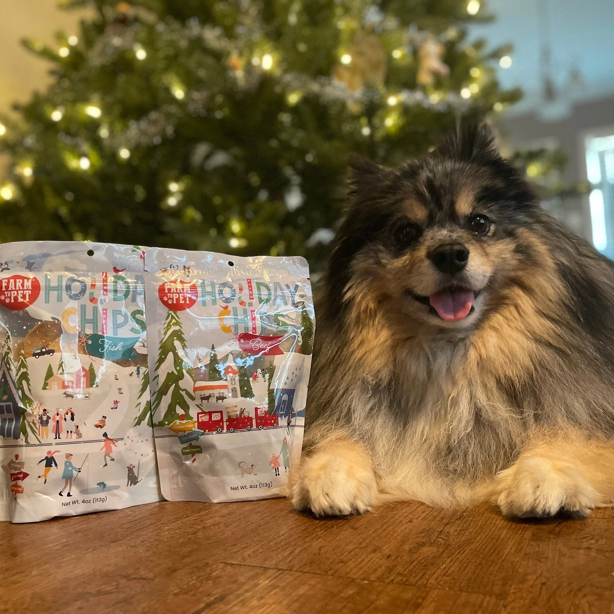 Holiday Chips Dog Treats - Beef & Fish 4oz - Image 3