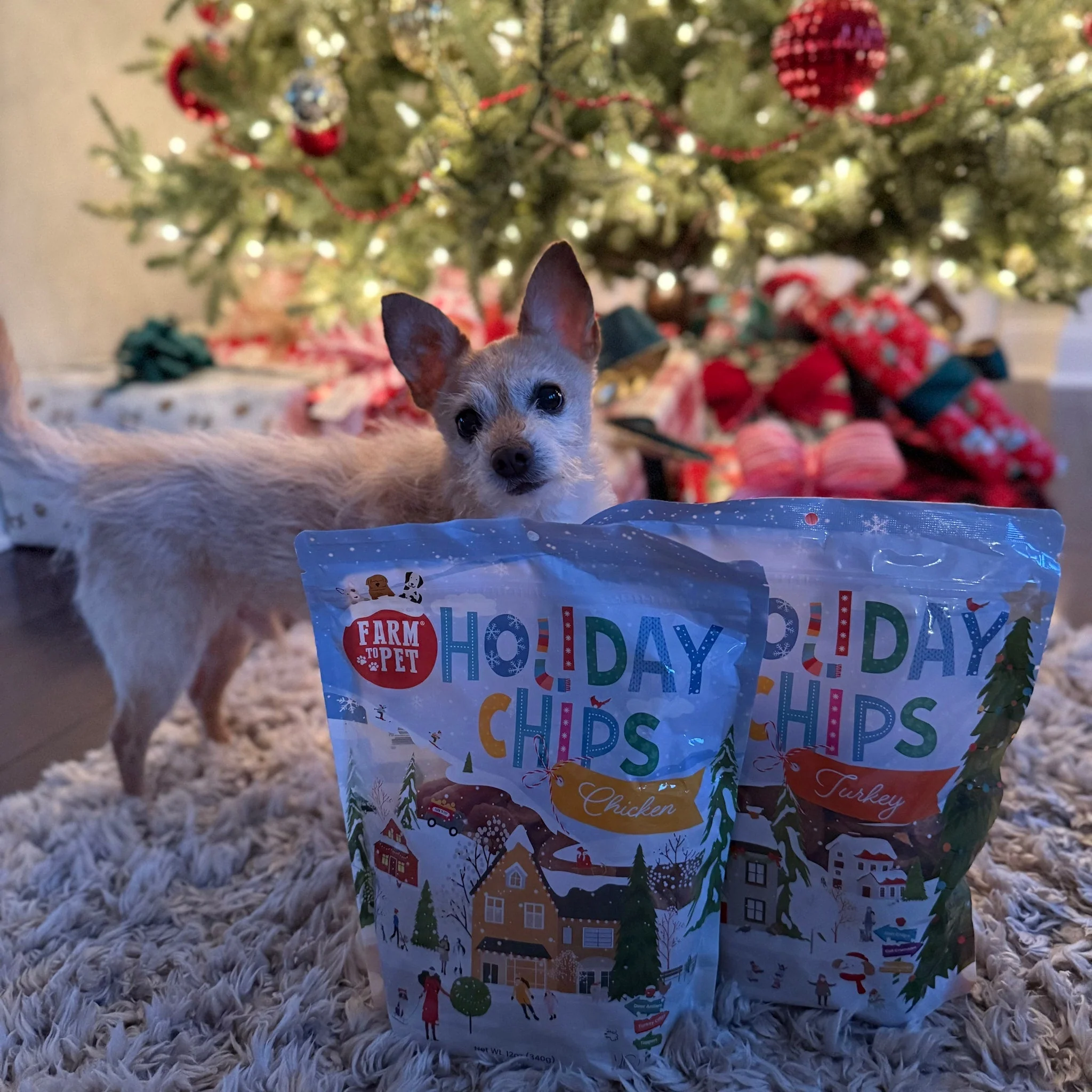 Holiday Chips Dog Treats - Chicken & Turkey 12oz - Image 3