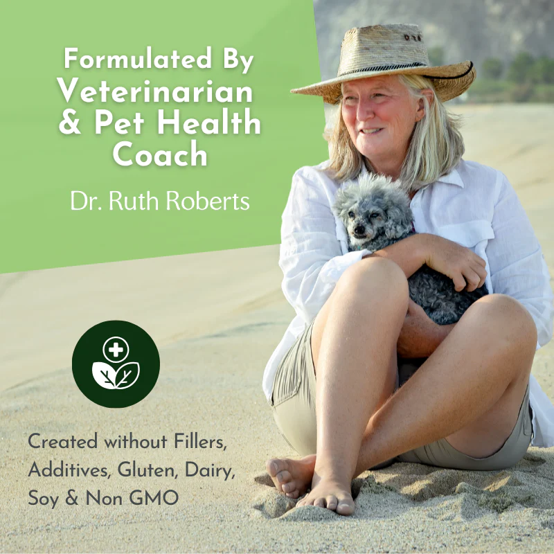 Holistic Total Body Support – Multivitamin & Glandular Support for Dogs and Cats - Image 14
