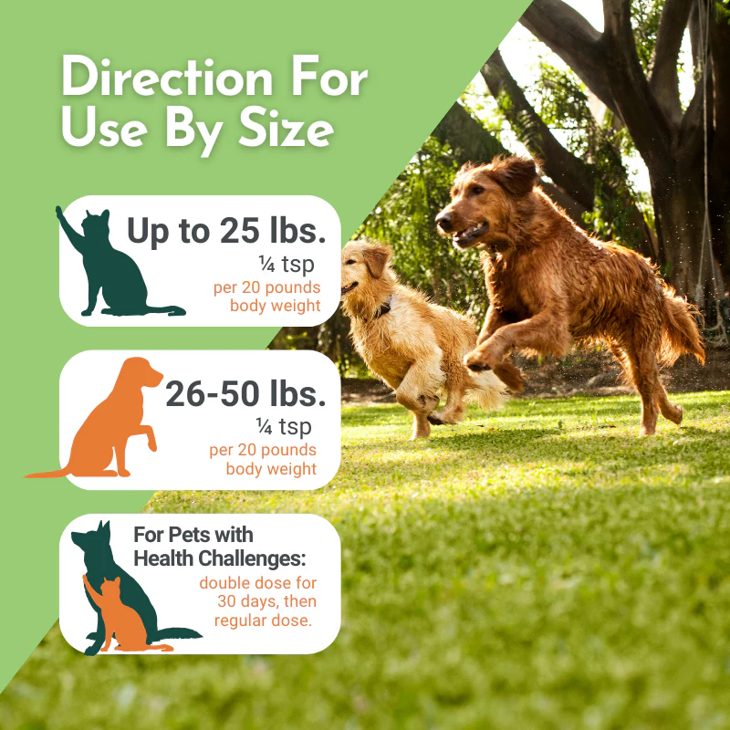 Holistic Total Body Support – Multivitamin & Glandular Support for Dogs and Cats - Image 15
