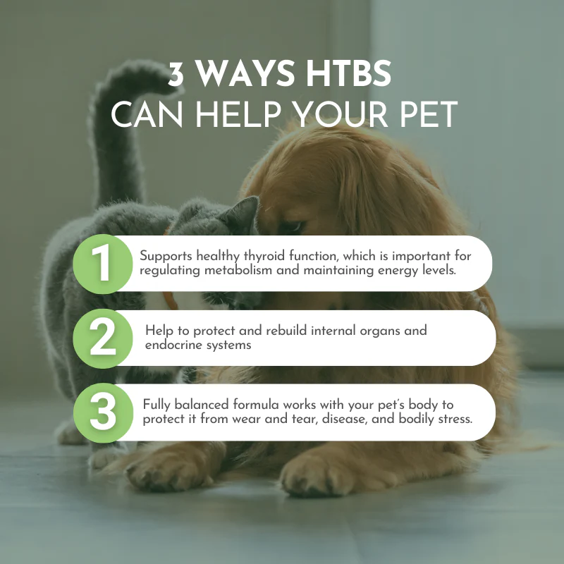 Holistic Total Body Support – Multivitamin & Glandular Support for Dogs and Cats - Image 7