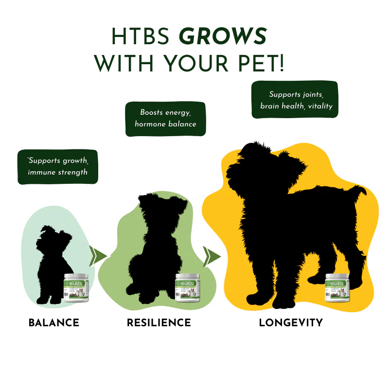 Holistic Total Body Support – Multivitamin & Glandular Support for Dogs and Cats - Image 8