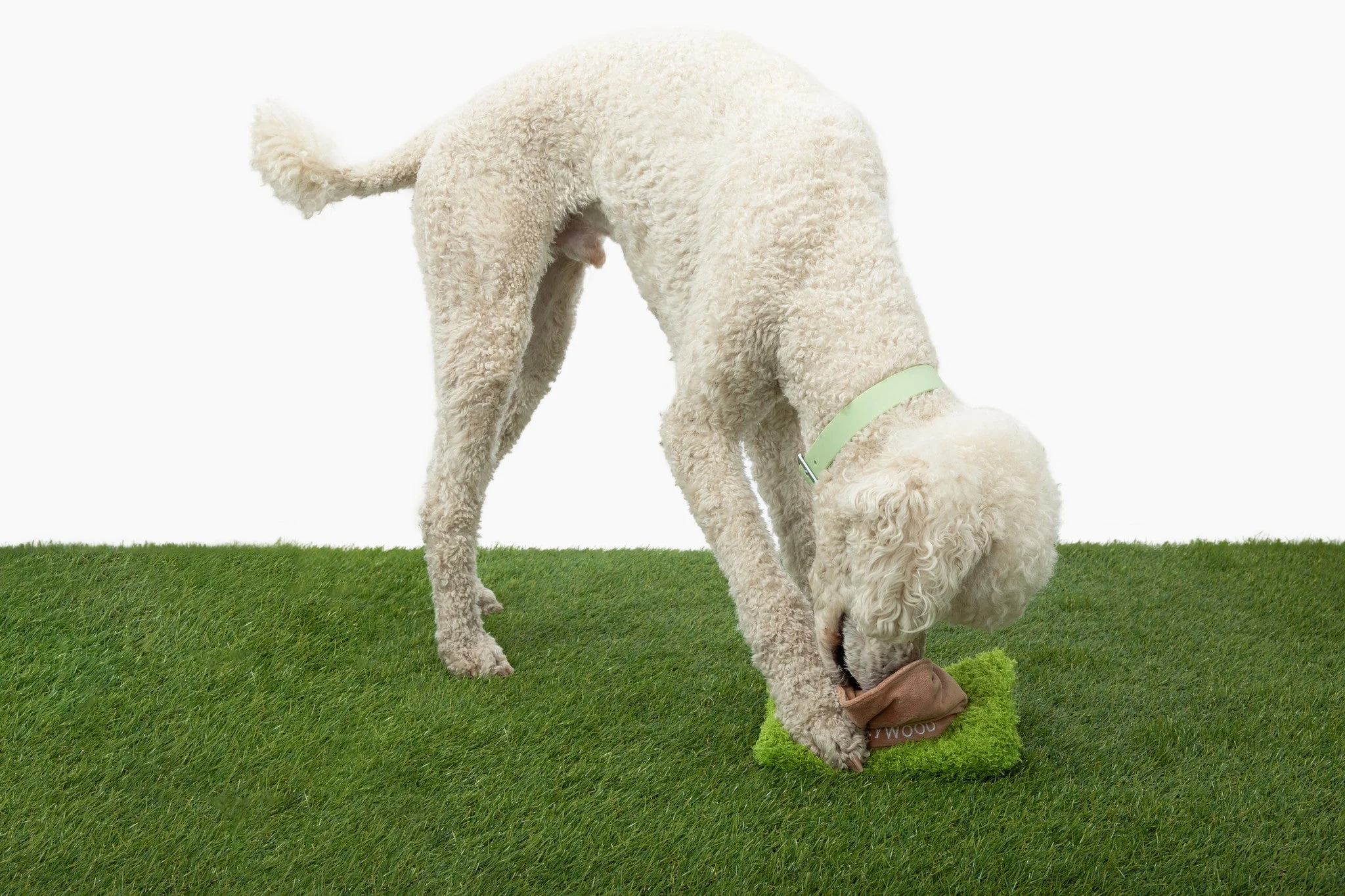 Hollywoof Nose Work Dog Toy - Image 3