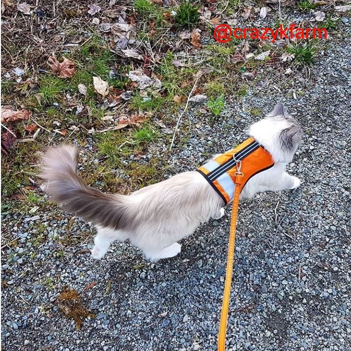 Holster Leash (Made in USA) - Image 14