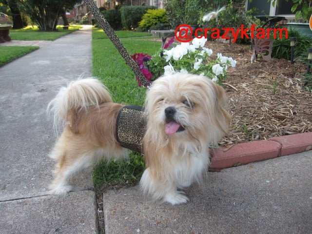 Holster Leash (Made in USA) - Image 18
