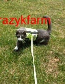 Holster Leash (Made in USA) - Image 19