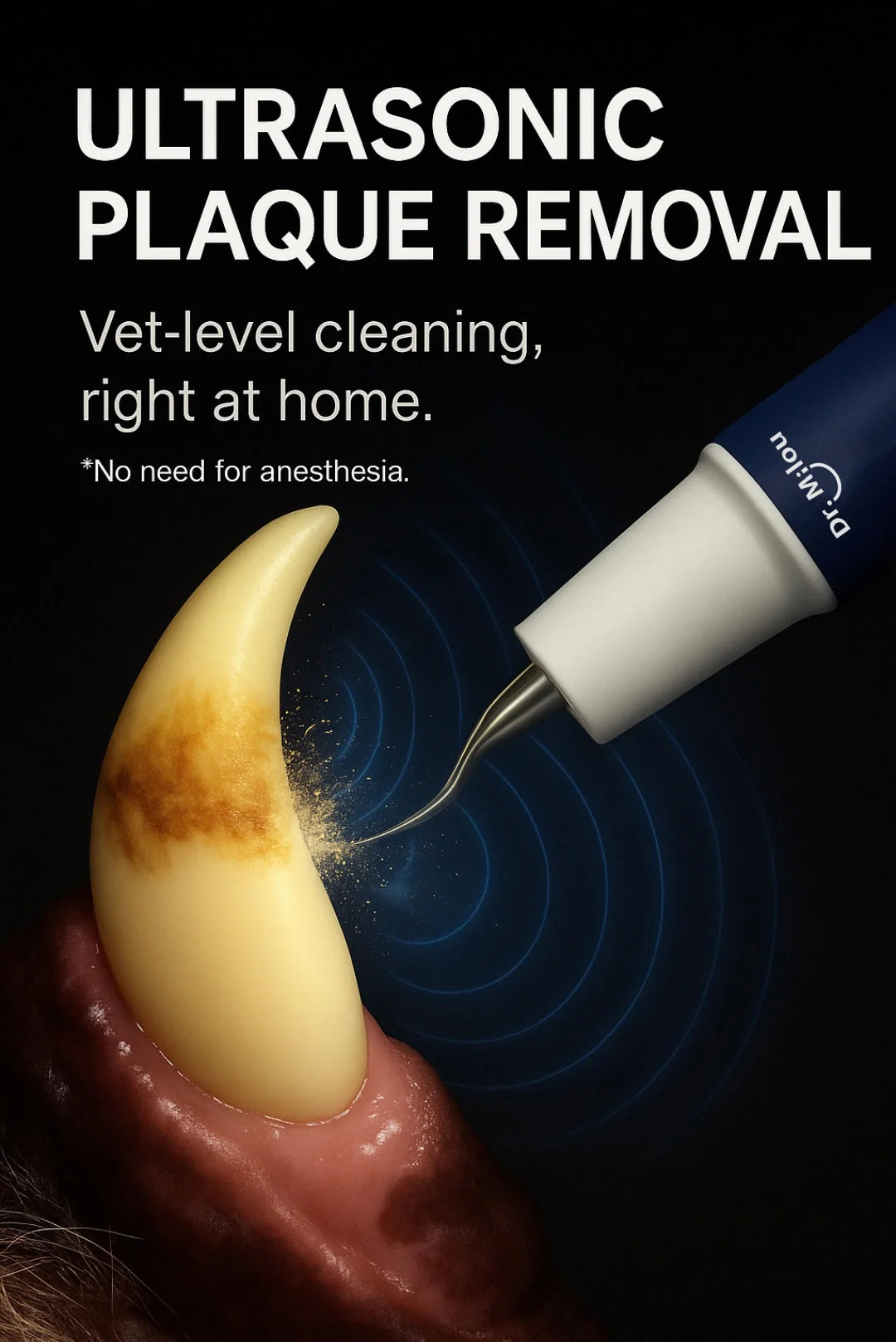 Home Pet Oral Care (Electric Toothbrush / Ultrasonic Dental Scaler / Full Set) by Dr. Milou - Image 4