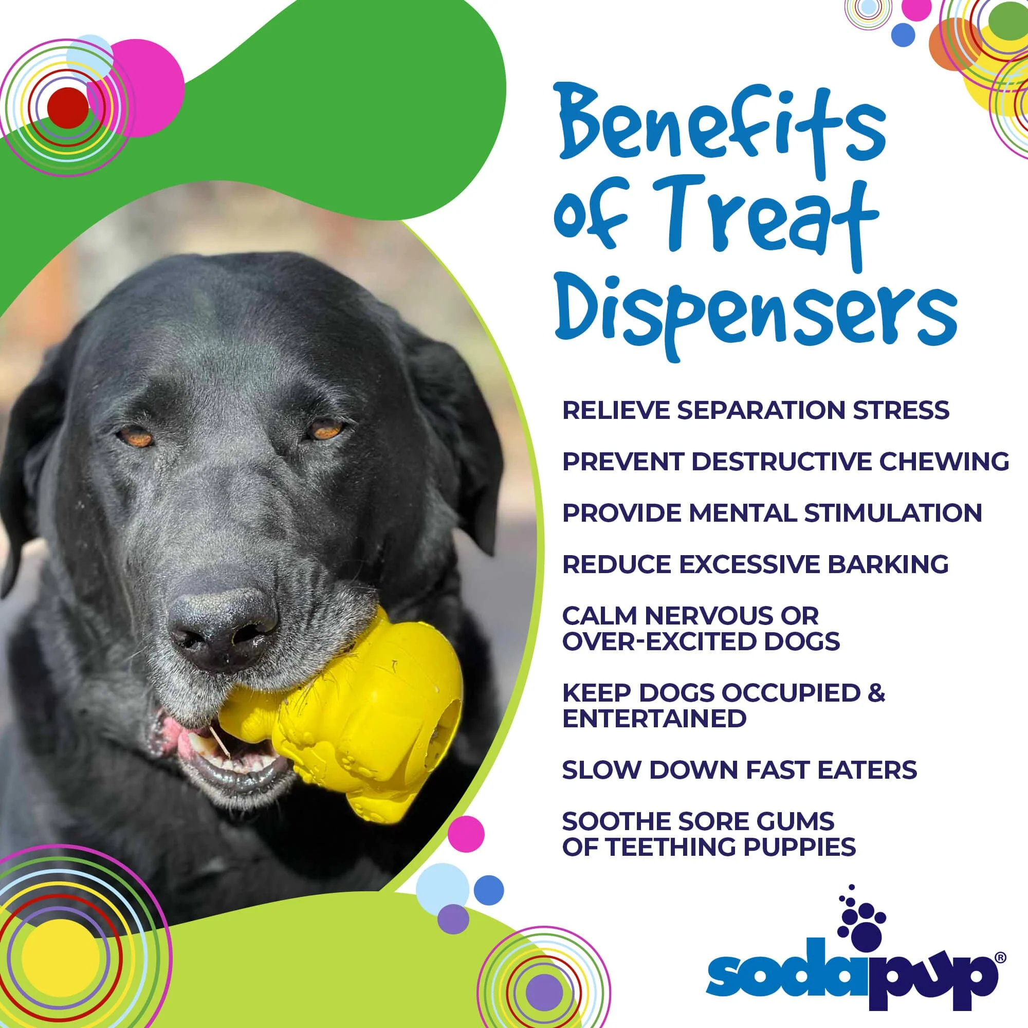 Honey Bear eDispenser - Durable Rubber Treat Dispenser for Dogs | USA Made - Image 4