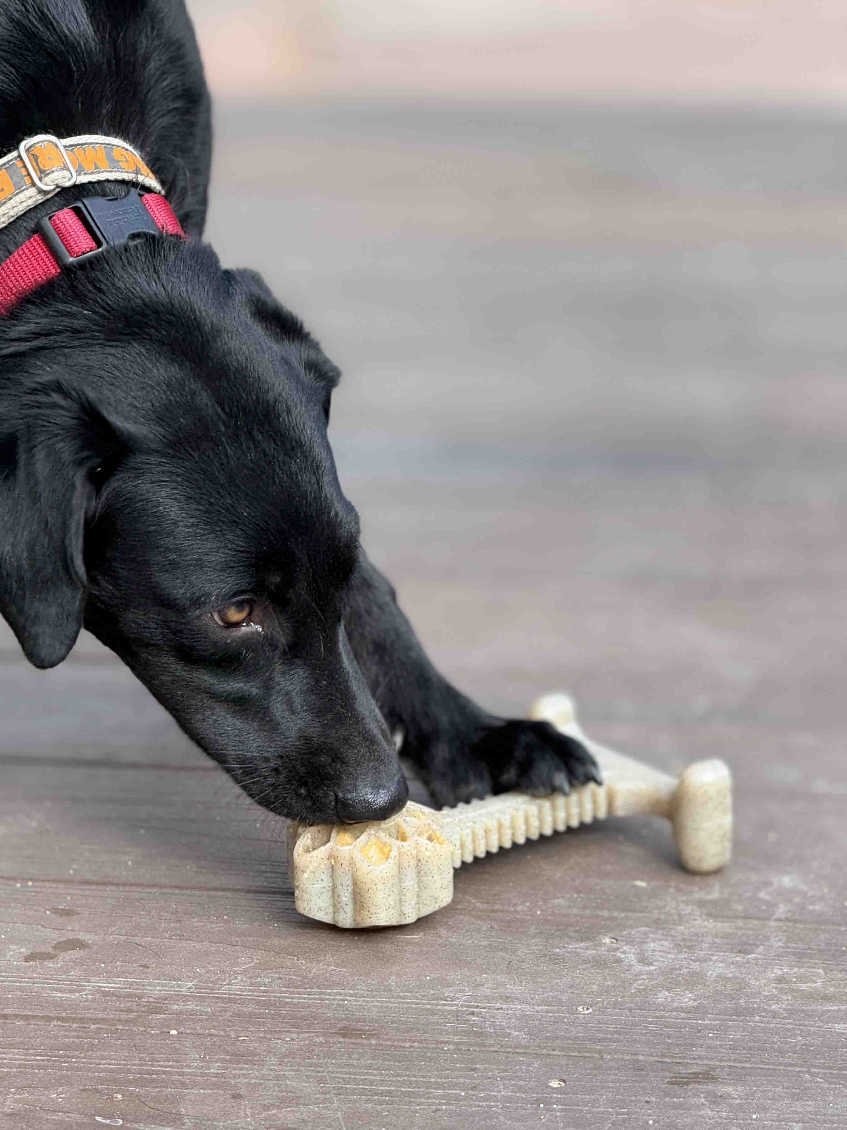 Honey Bone Dental Flower Tower - Indestructible Nylon Dog Chew Toy XL | USA - Image 7