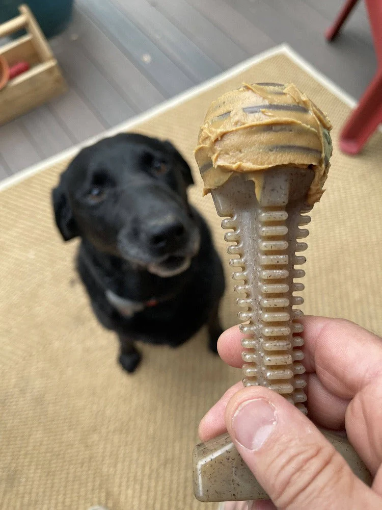 Honey Bone Dental Tower Nylon Chew Toy for Aggressive Chewers | USA Made - Image 7