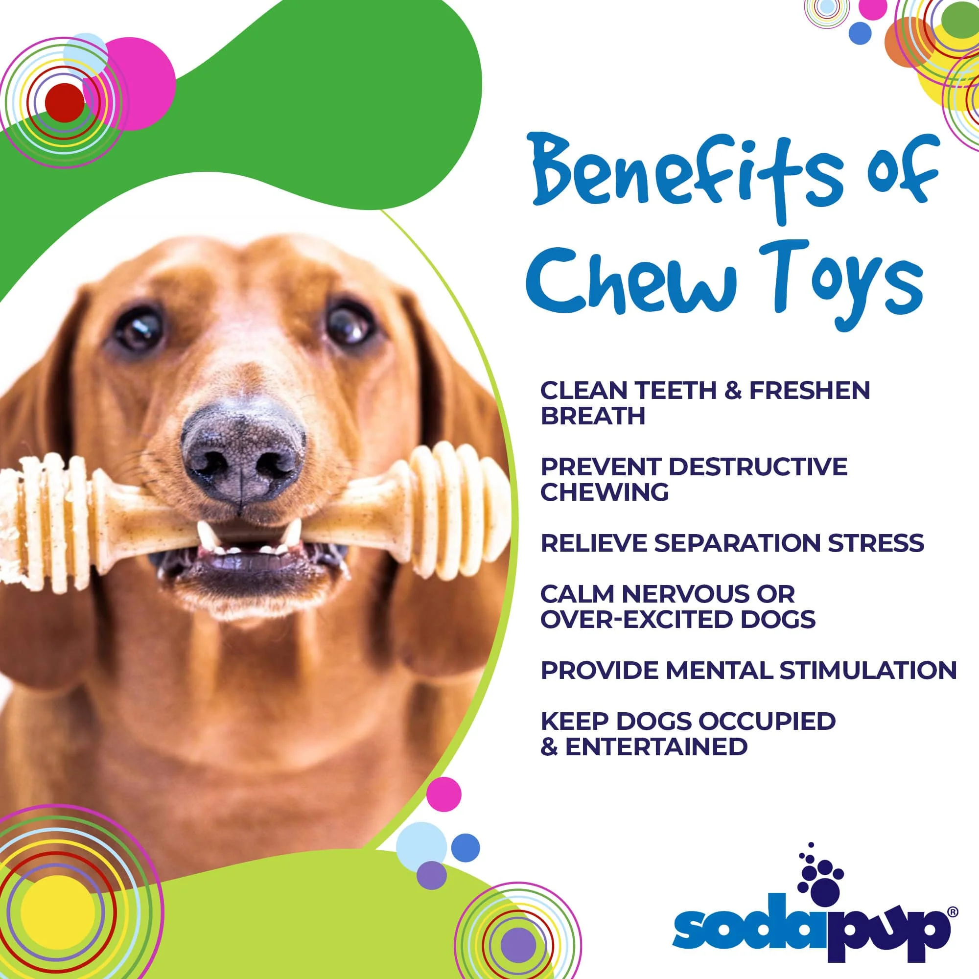 Honey Bone Nylon Dog Toy for Aggressive Chewers | Indestructible | USA Made - Image 4