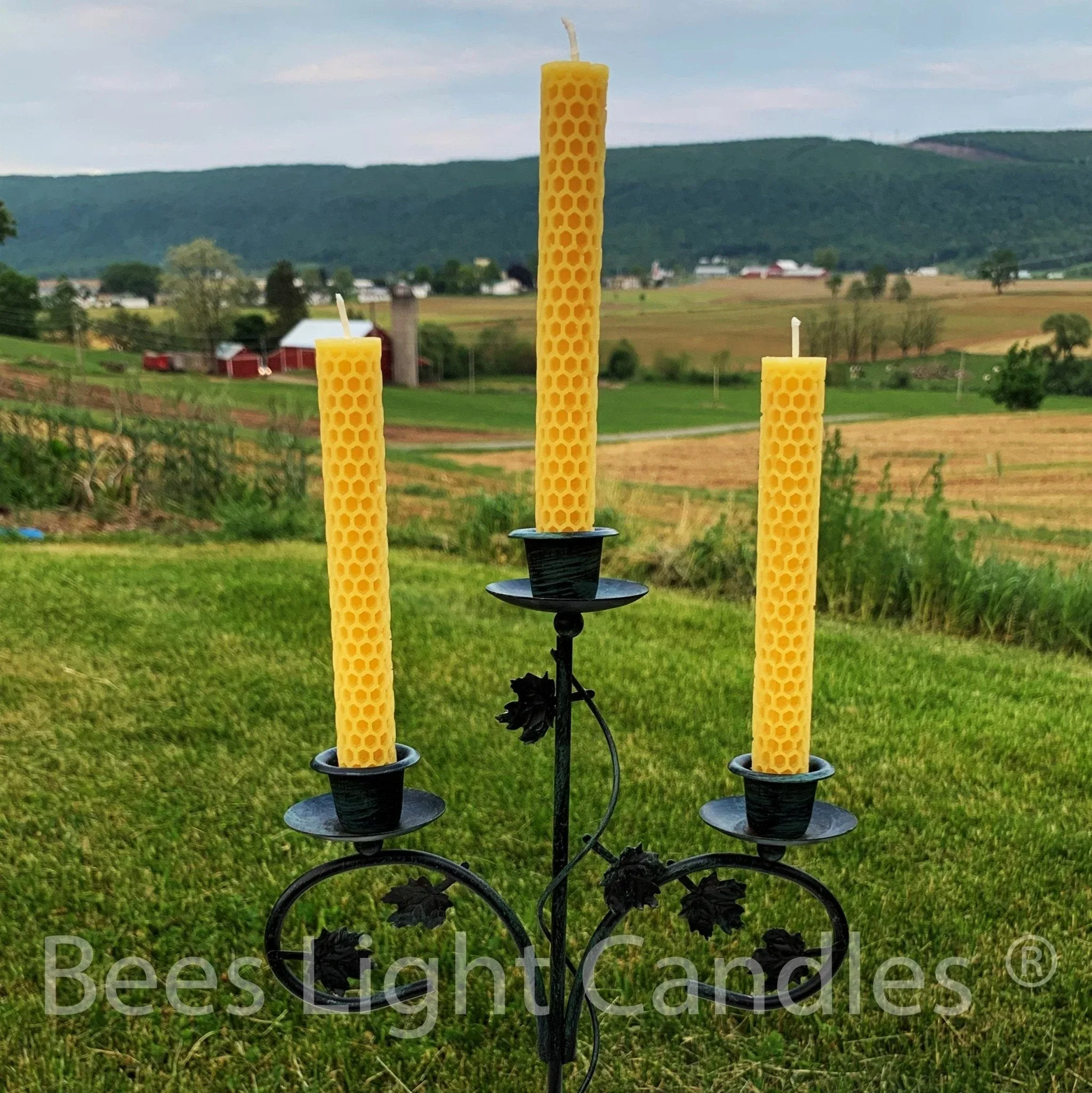 Honeycomb Beeswax Taper Candles - Image 2