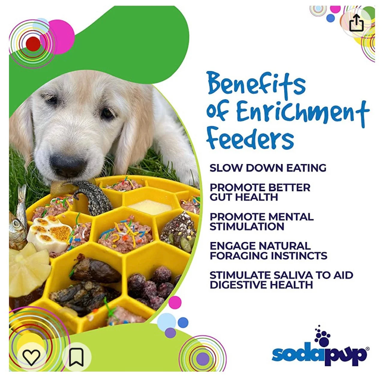 Honeycomb eBowl Deep Slow Feeder Dog Bowl for Enrichment | USA Made - Image 4