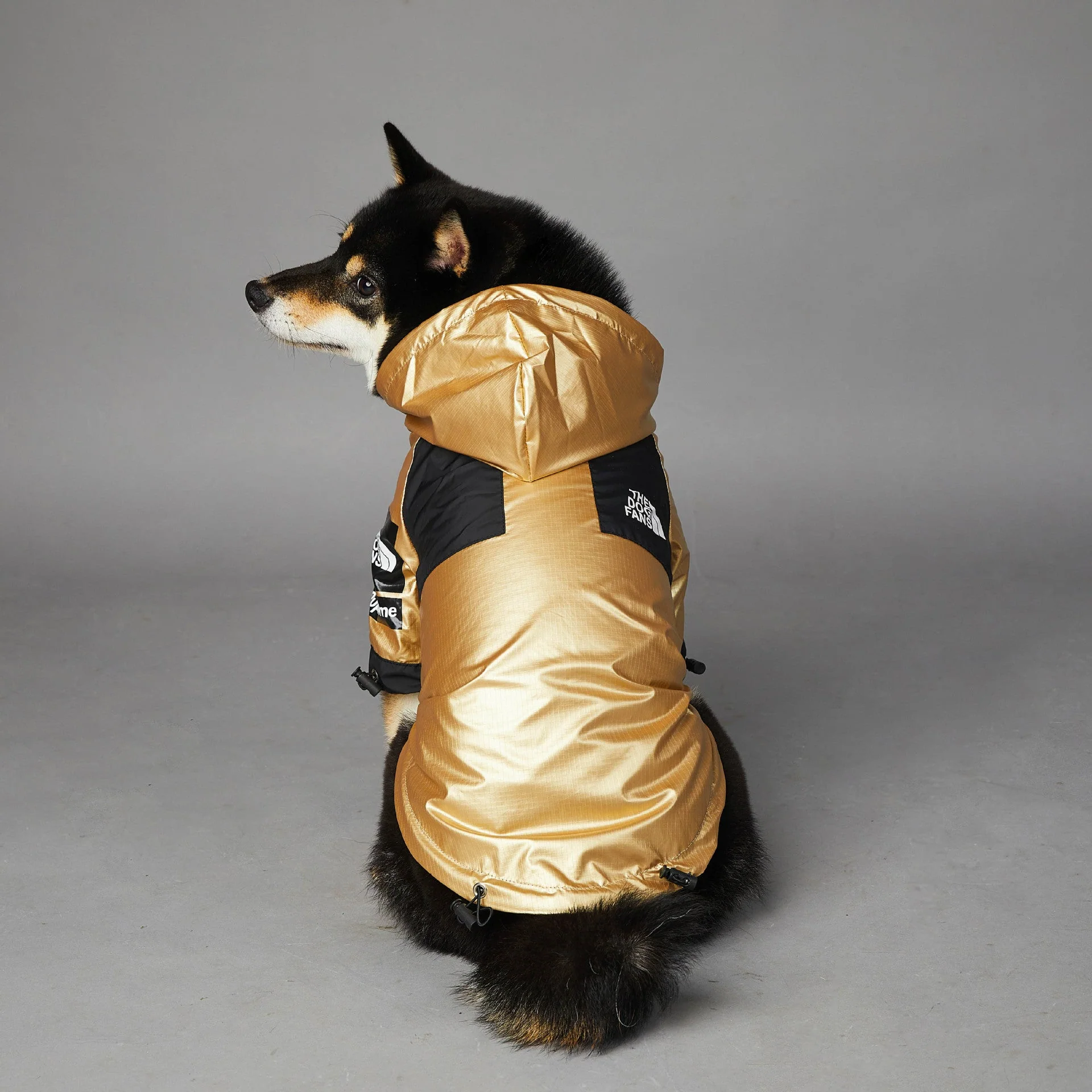 Hooded Dog Raincoat Jacket - Image 2