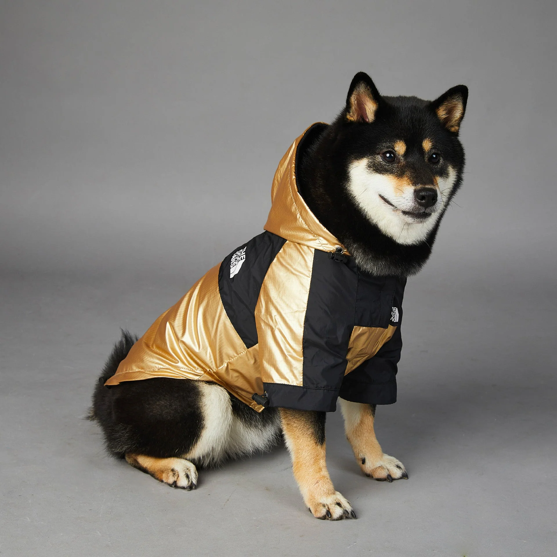 Hooded Dog Raincoat Jacket - Image 3