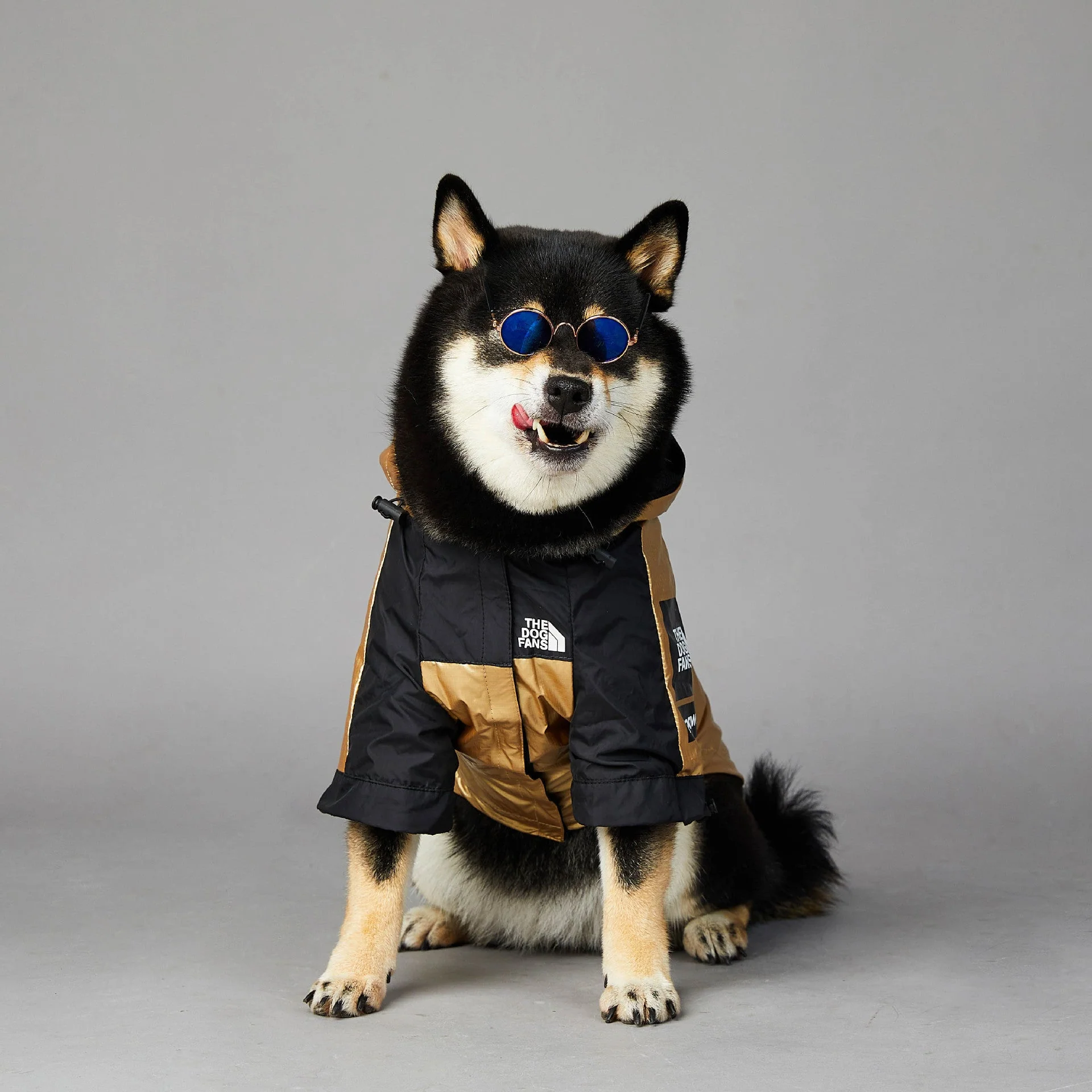 Hooded Dog Raincoat Jacket - Image 4