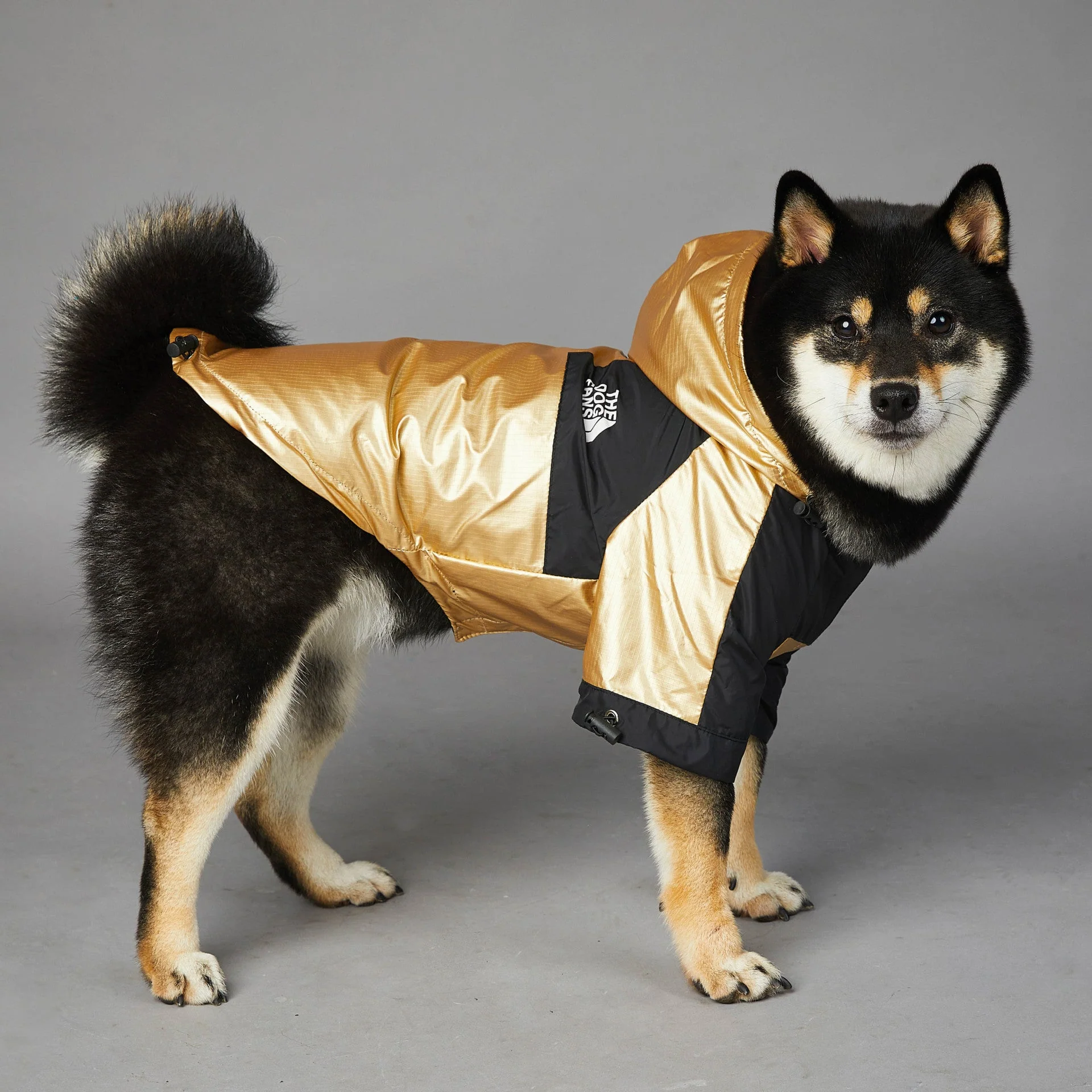 Hooded Dog Raincoat Jacket - Image 5