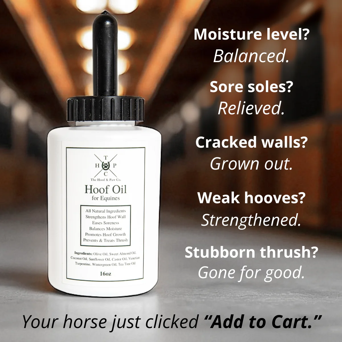 Hoof Oil for Horses - Image 2