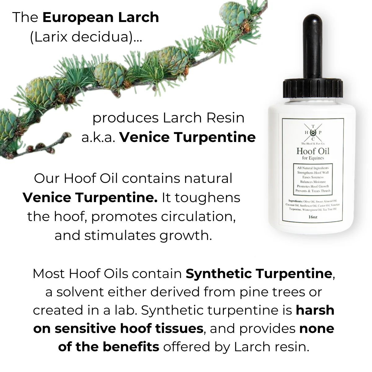 Hoof Oil for Horses - Image 4