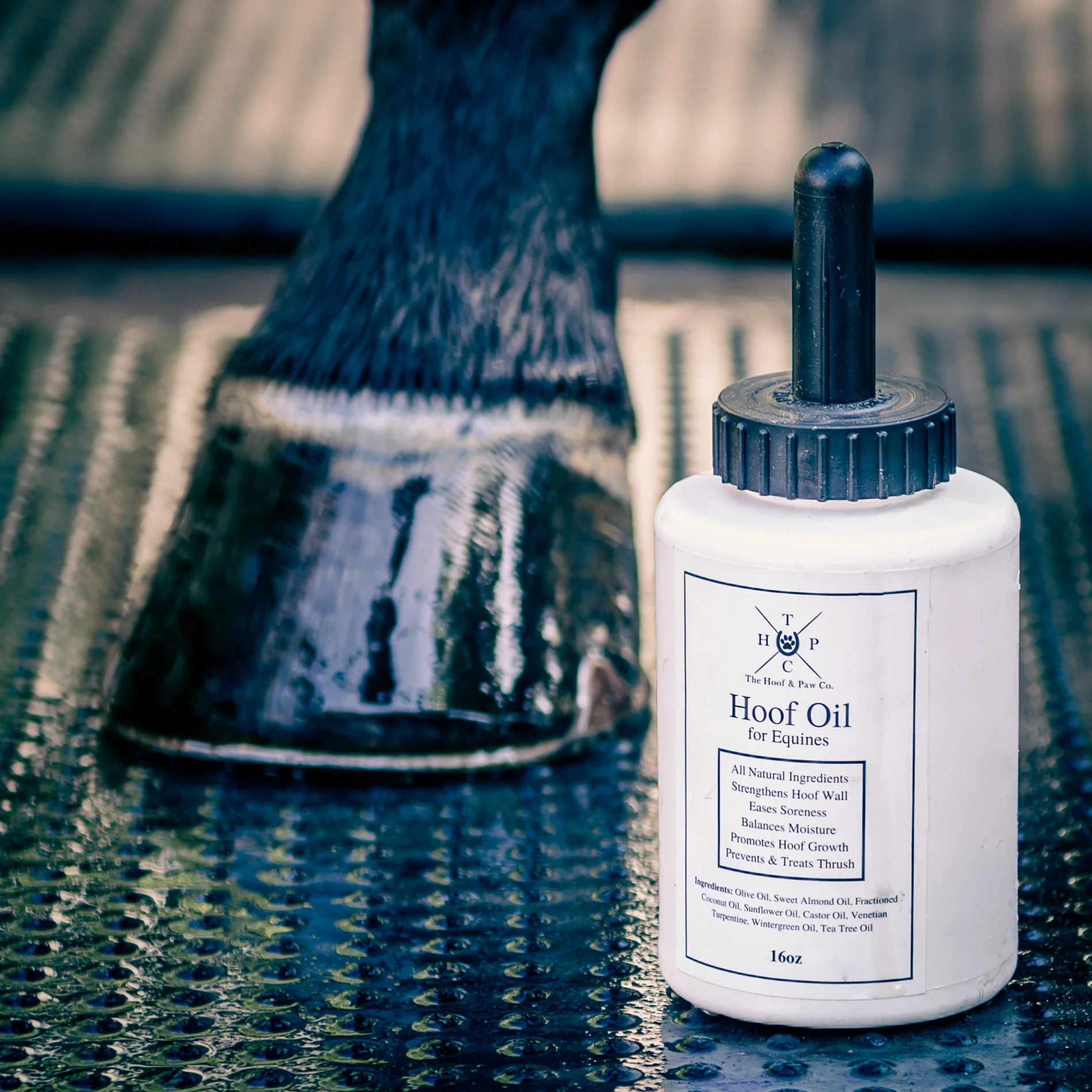 Hoof Oil for Horses - Image 5