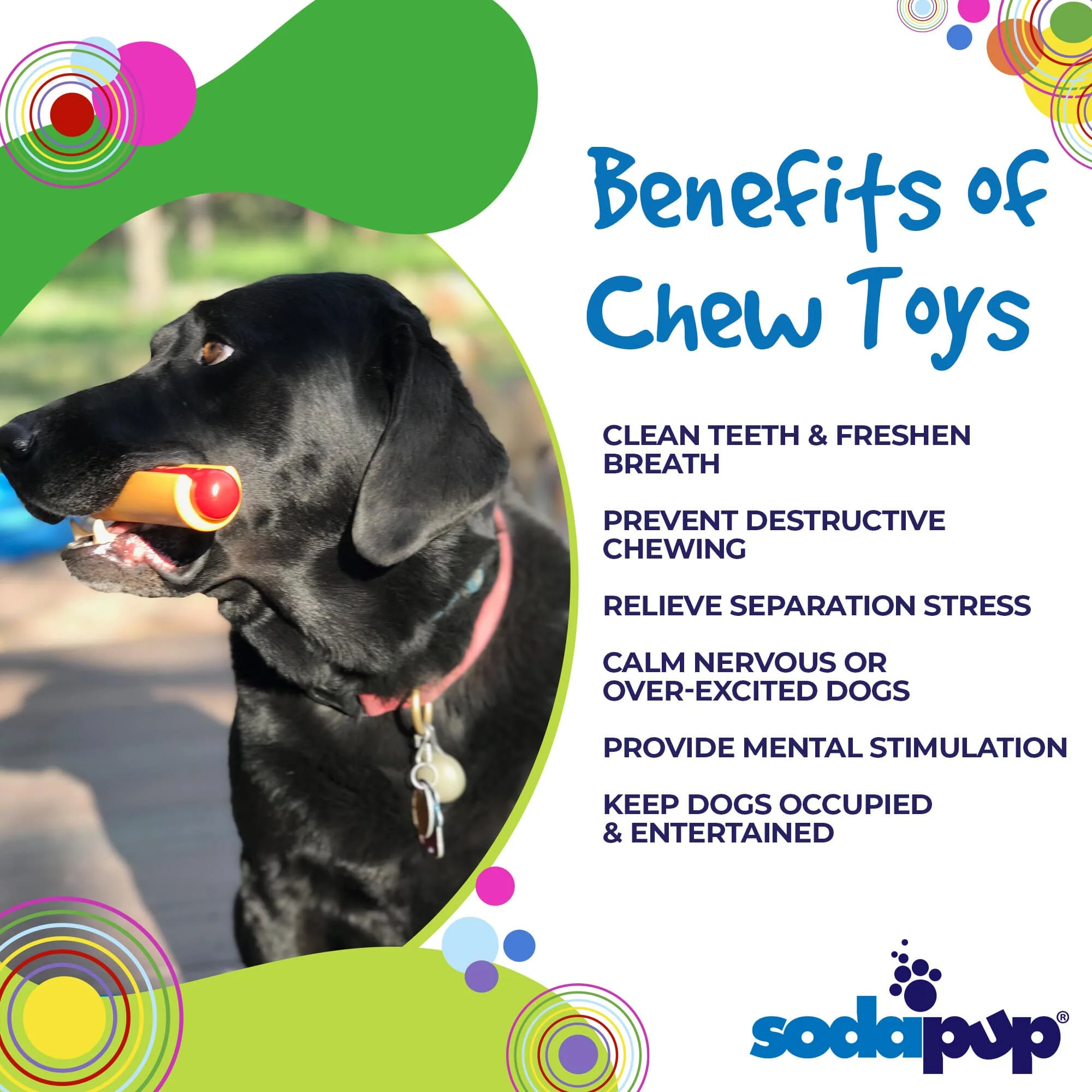 Hot Dog Nylon Dog Toy for Aggressive Chewers | USA Made | SodaPup - Image 3