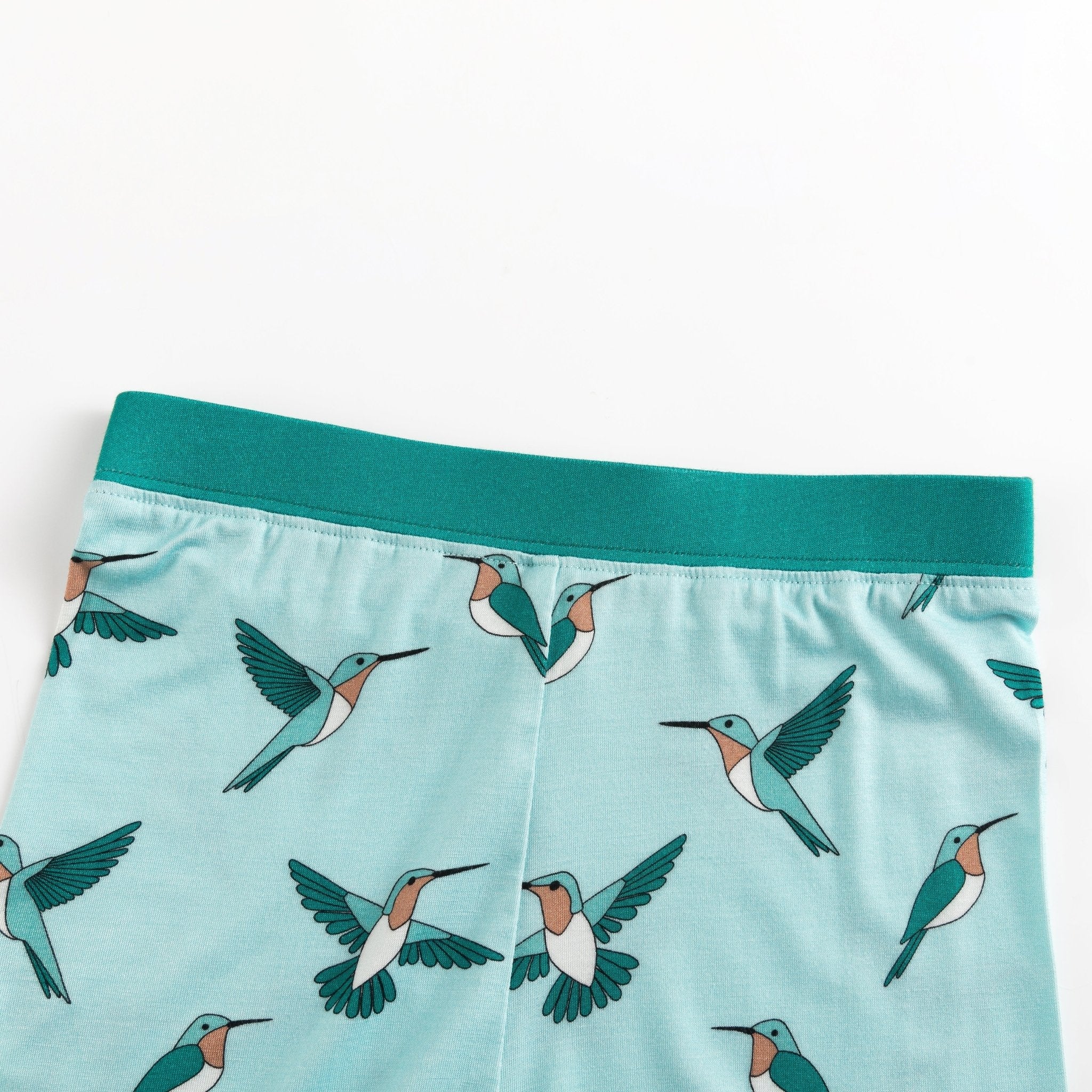 Hummingbird - Image 4