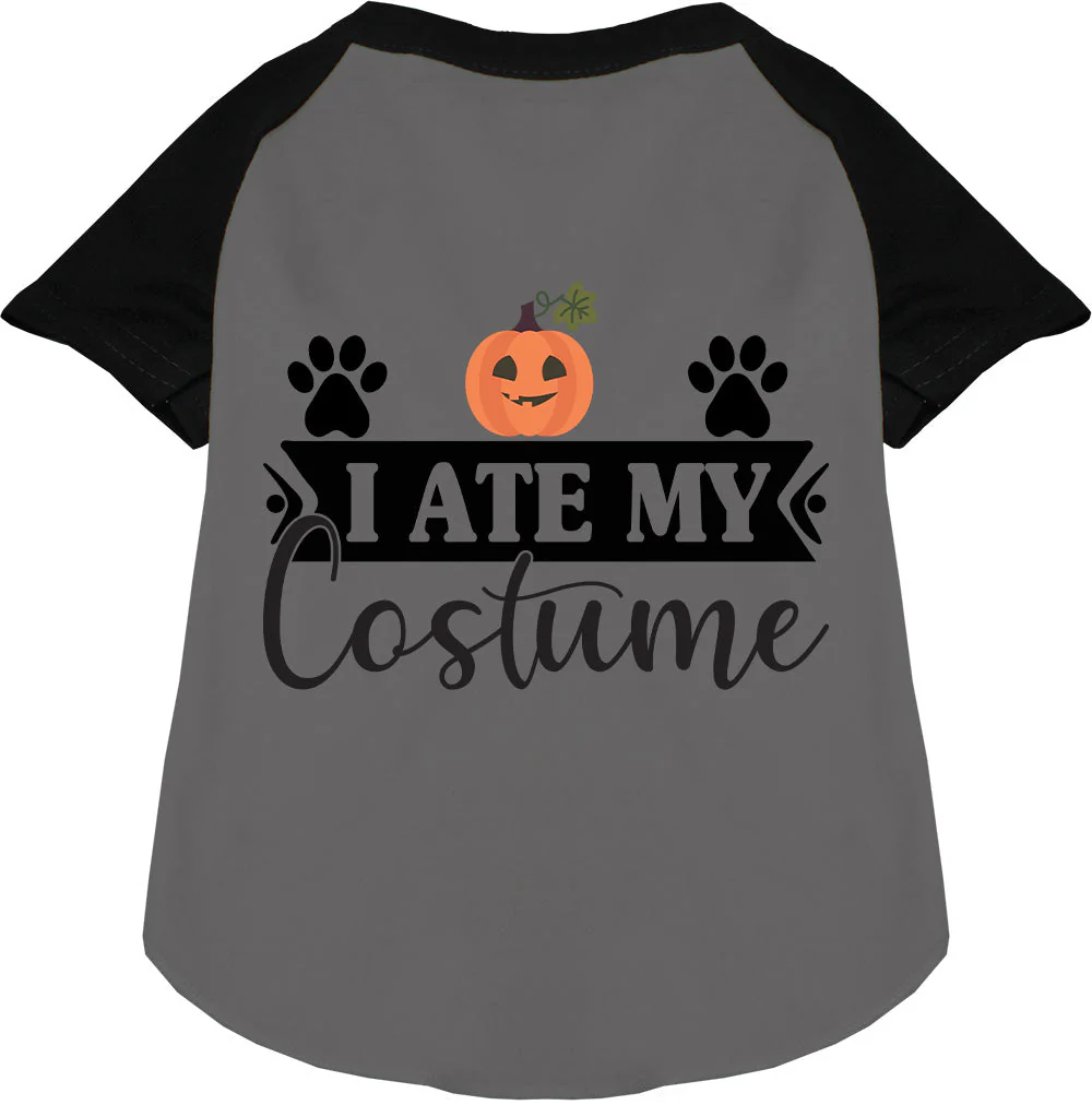 I Ate My Costume Pet Raglan Shirt - Image 3
