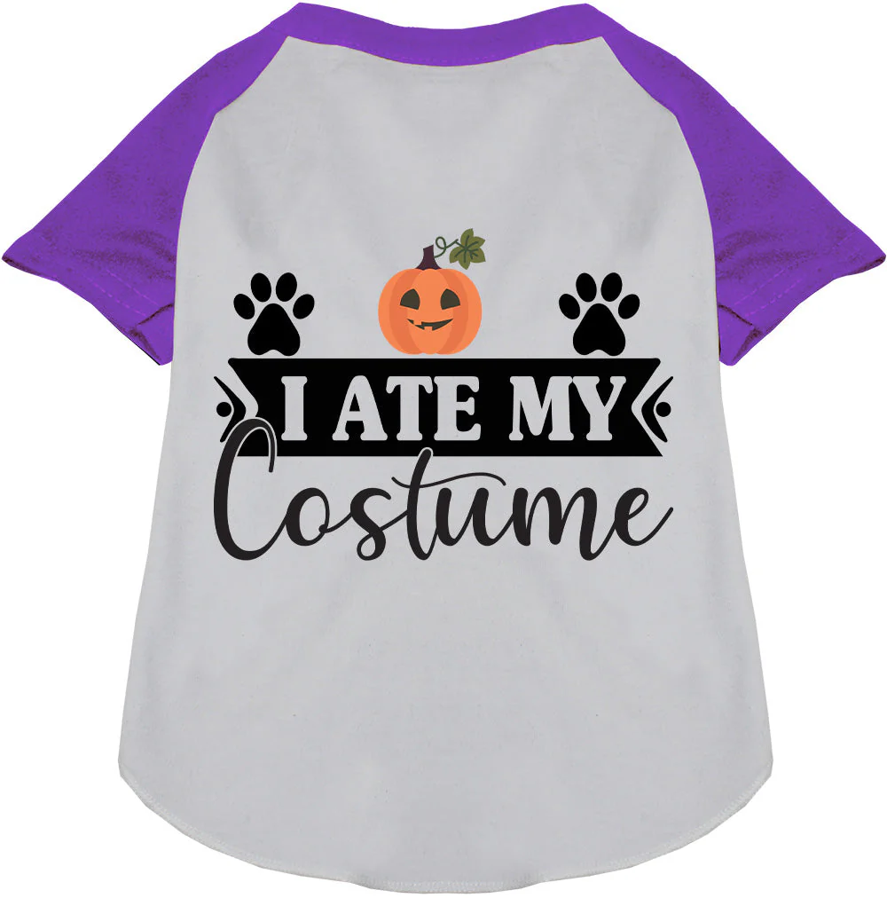 I Ate My Costume Pet Raglan Shirt - Image 6
