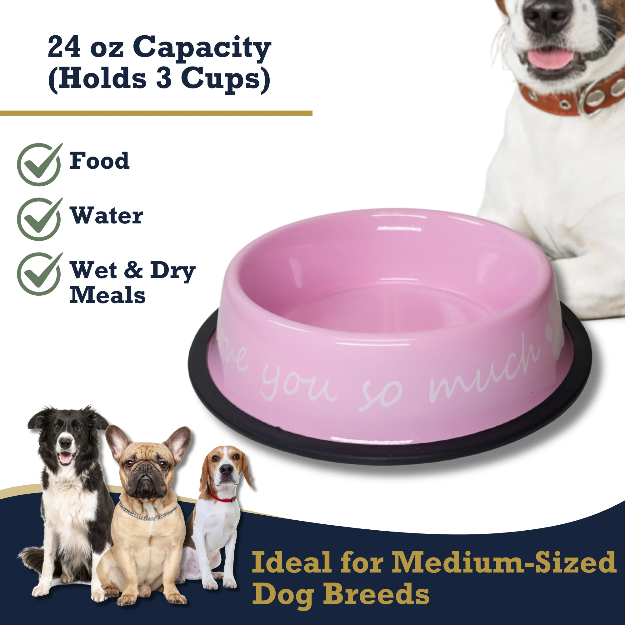 I LOVE YOU SO MUCH Modern Stainless Steel Dog Bowl – 24oz - Image 4